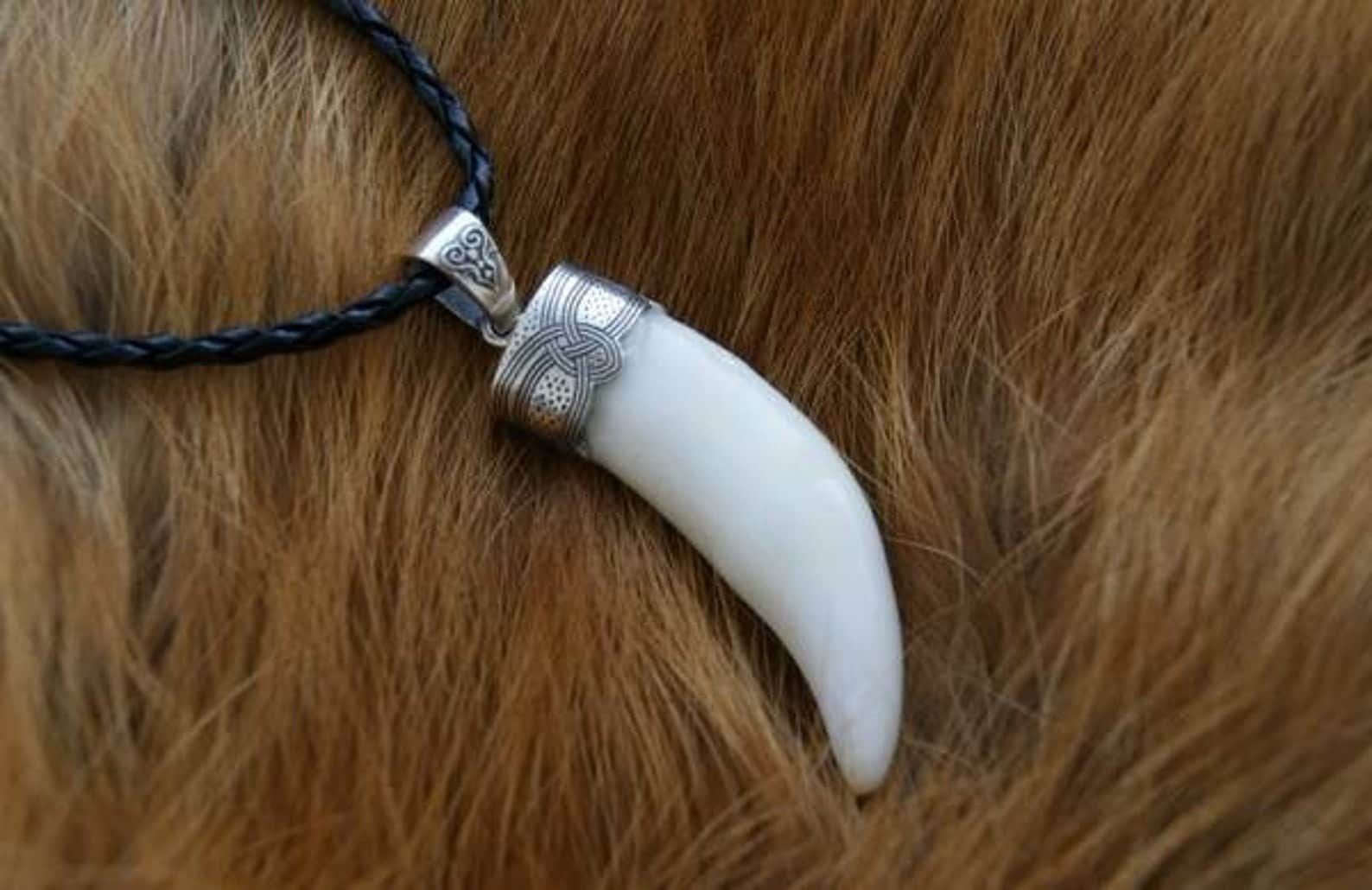 Real lion shop tooth necklace