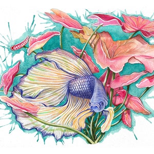 Delta Betta Fish Original Watercolor Art Print and Sticker