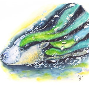 Eisbär Original Aquarell Kunstdruck