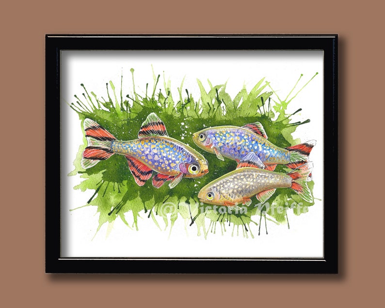 CPD Galaxy Rasbora Original Watercolor Art Print image 2