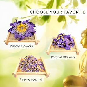 Comparison of Organic Blue Lotus forms: Whole Nymphaea Caerulea flowers, loose petals with stamen, and pre-ground crushed botanicals.