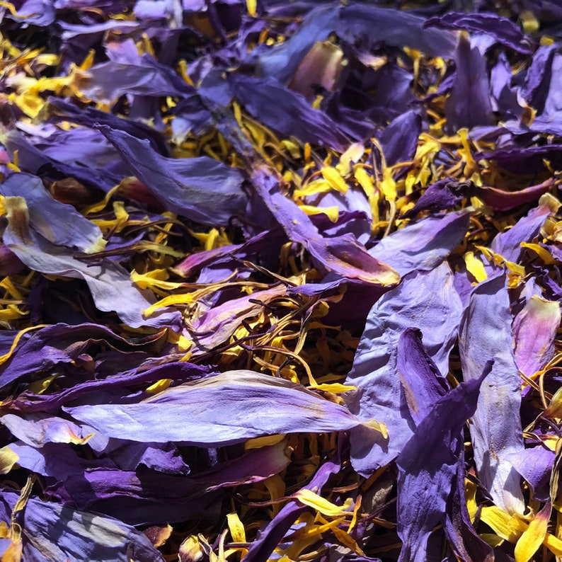 3.5oz 100g ORGANIC BLUE LOTUS Crushed Dried Flowers Etsy