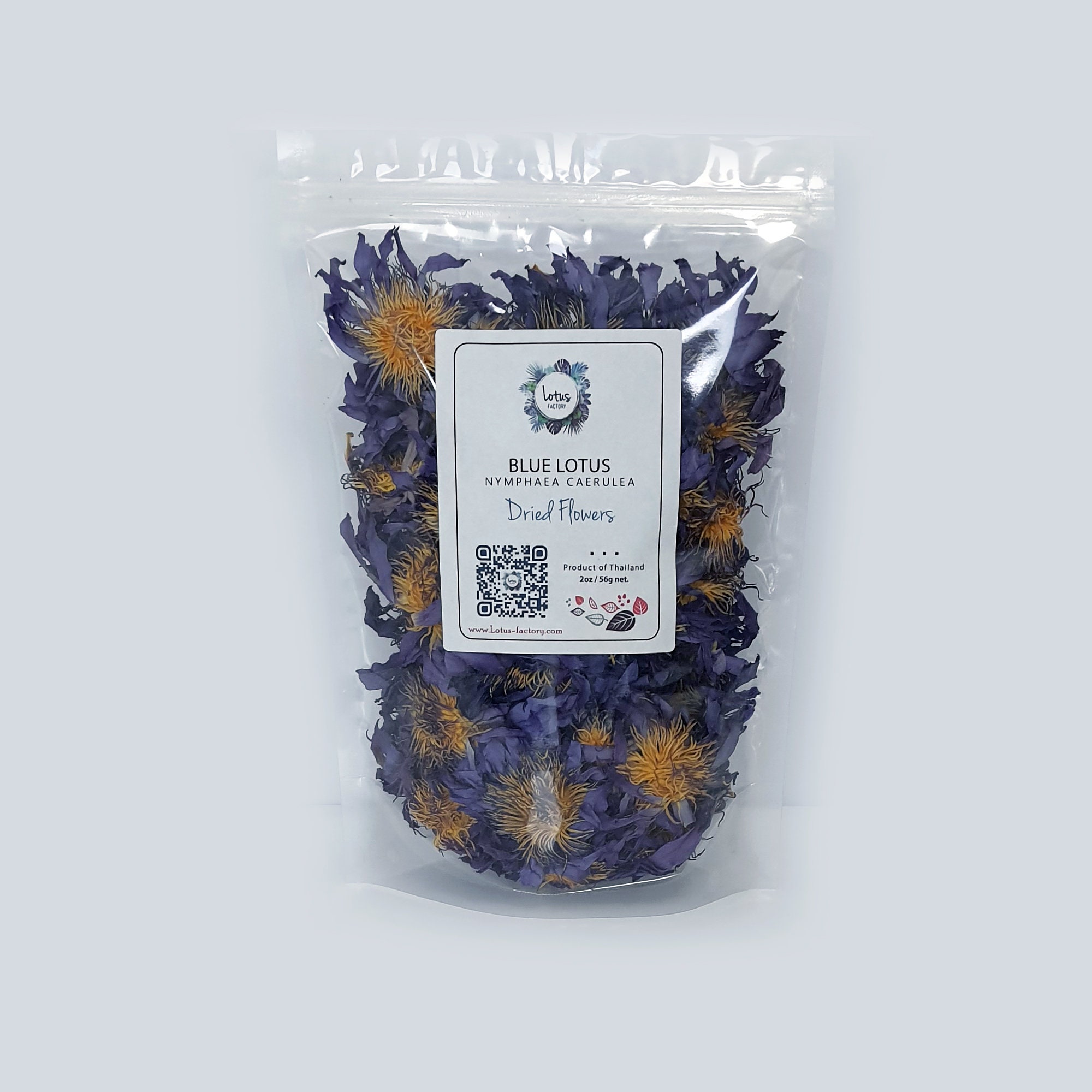 Premium Organic Blue Lotus Flowers Nymphaea Caerulea Blue Etsy