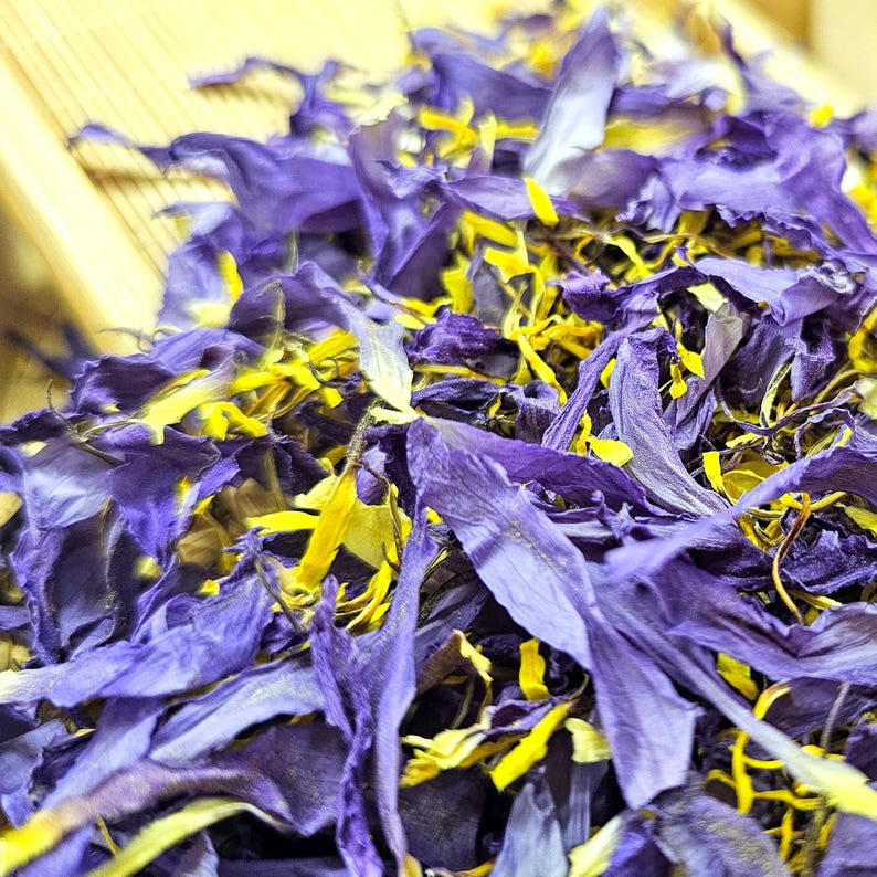 Loose leaf Blue Lotus petals and stamen for natural potpourri, and soap making - premium Nymphaea Caerulea ingredient.