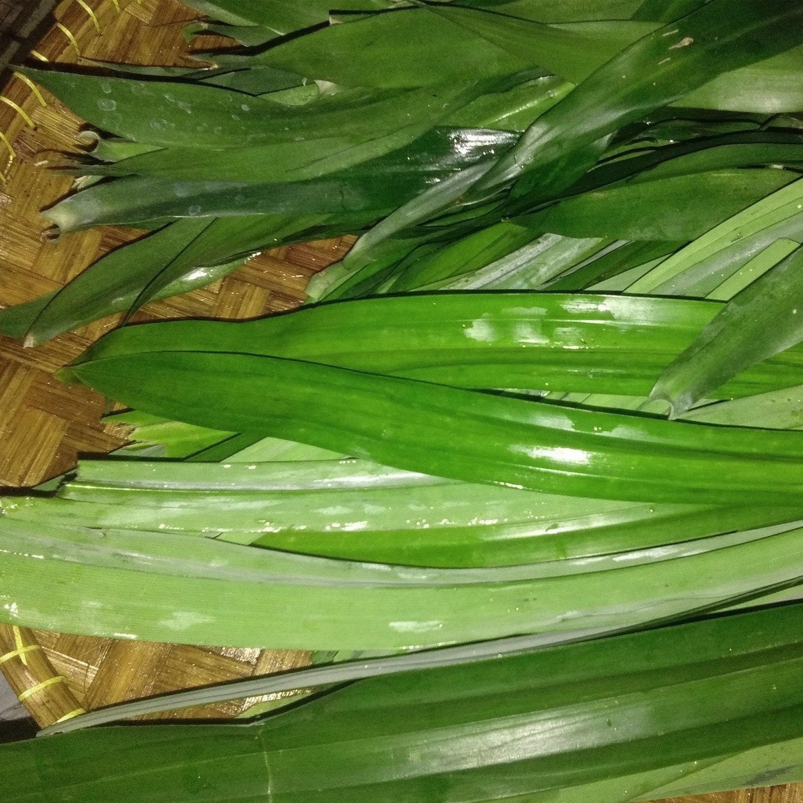 ORGANIC PANDAN & LEMONGRASS Mix Dried Pandan Lemongrass Tea Etsy