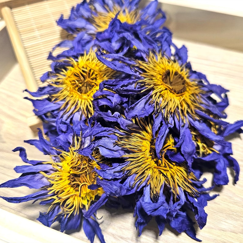 Texture view of organic dried Nymphaea Caerulea petals perfect for resin art or botanical crafts.