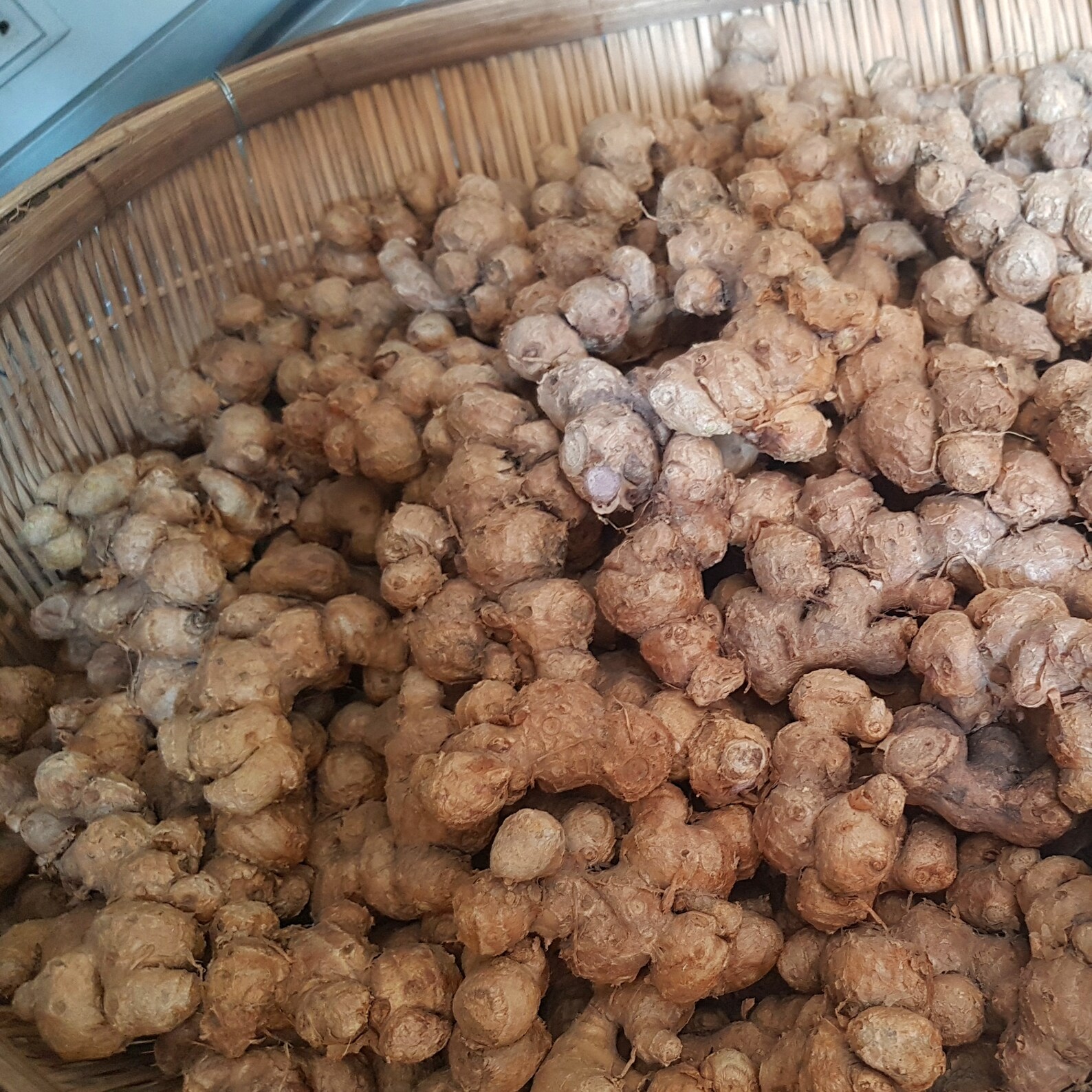 ORGANIC BLACK GINGER Root Powder Kaempferia Parviflora Etsy