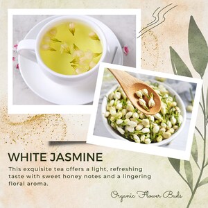 White Jasmine Tea. Premium, 100% Organic Jasminum officinale flower buds