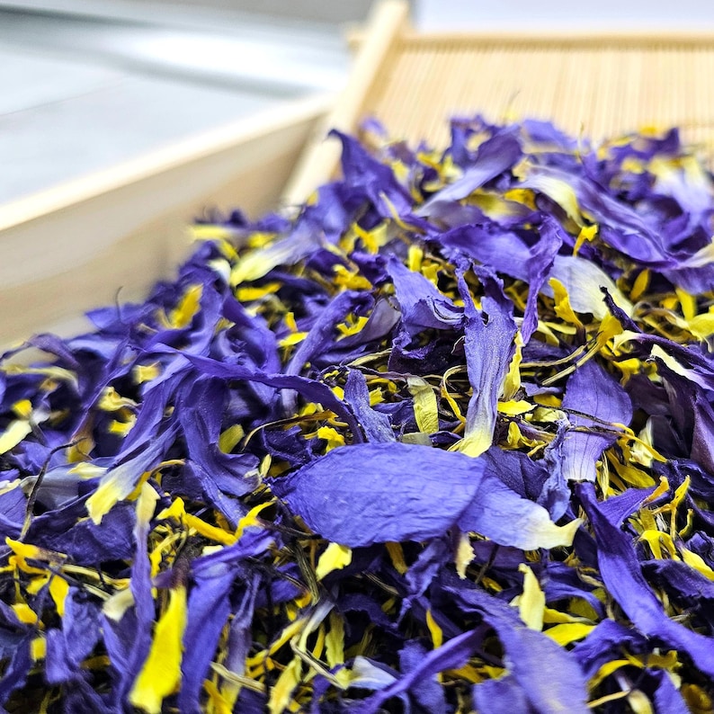Vibrant purple Organic Blue Lotus petals mixed with golden stamens (Nymphaea Caerulea) - loose dried botanical material for herbal blends and resin art