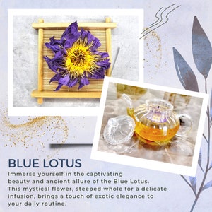 Organic Blue Lotus Dried Flowers. Premium Sacred Nymphaea caerulea. Free Shipping available