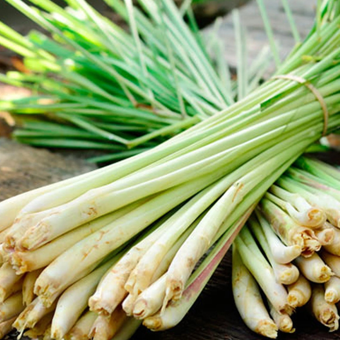 ORGANIC PANDAN & LEMONGRASS Mix Dried Pandan Lemongrass Tea Etsy