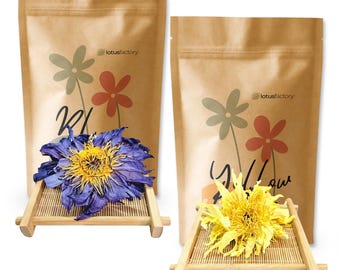 Organic Blue and Yellow Lotus Whole Flowers Saver Set