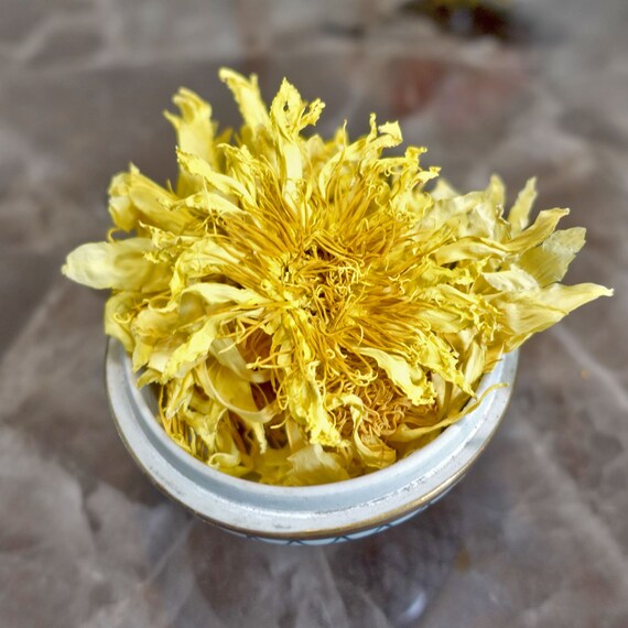 Organic Yellow Lotus Dried Whole Flowers Premium Nelumbo Etsy