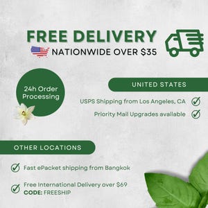 An informational graphic with dark green text and accents on a light gray background. It features a truck icon, a US map, and a white lily. Text includes FREE DELIVERY NATIONWIDE OVER $35, 24h Order Processing, UNITED STATES, and OTHER LOCATIONS.