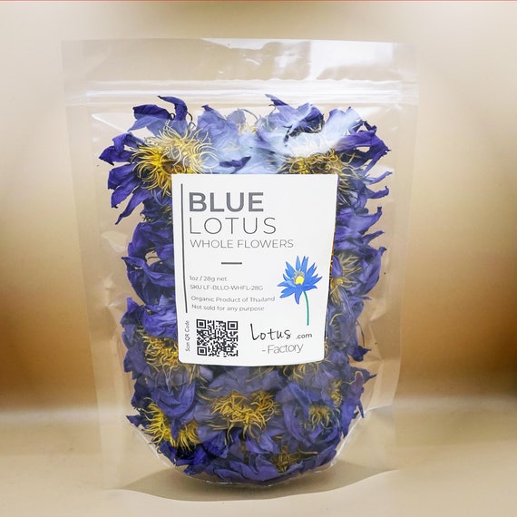 Blauer Lotus Bio, Ägypten Heilige Lotusblüten, Vegan, Non-GMO - .de