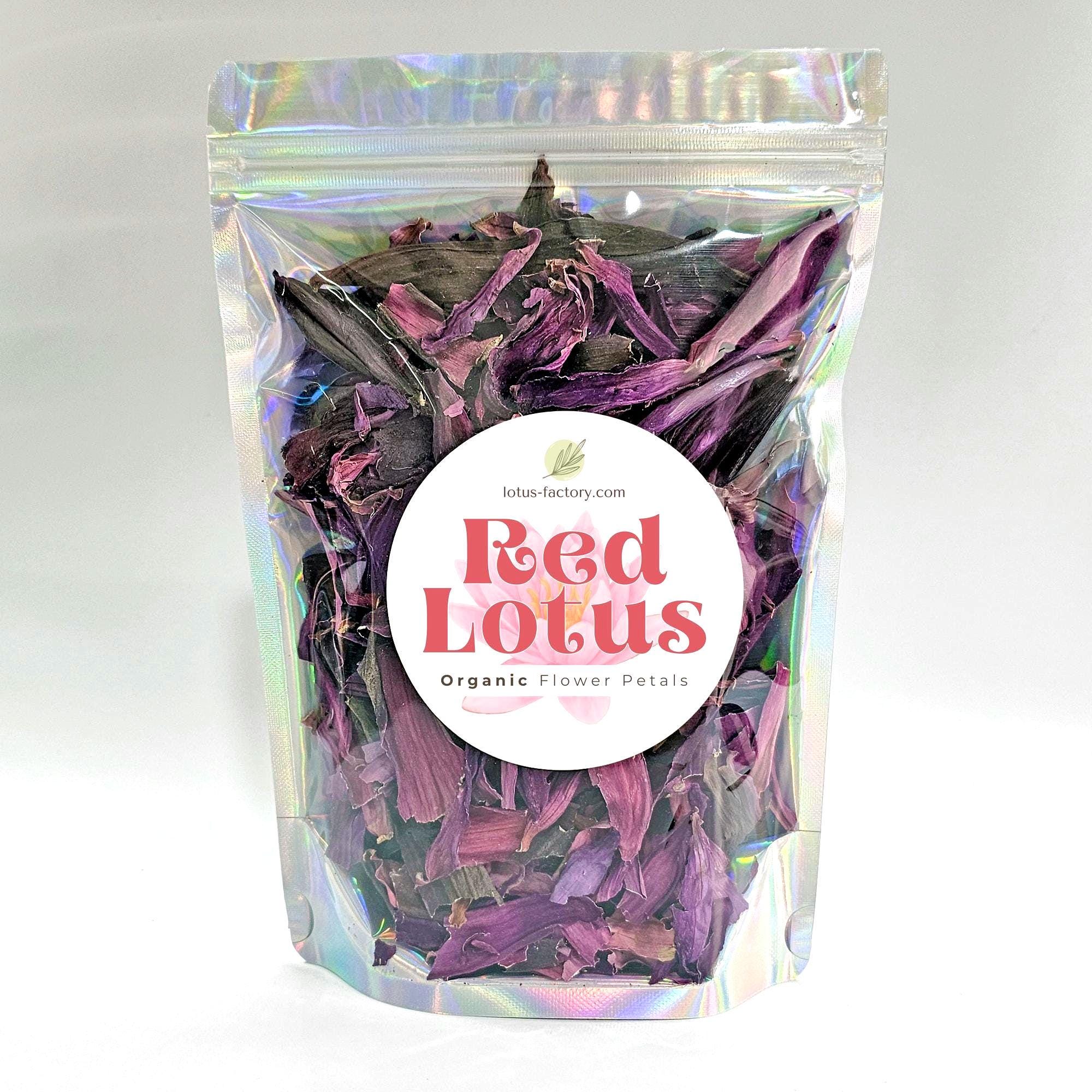 Red Lotus Flower: Natural Nymphaea rubra