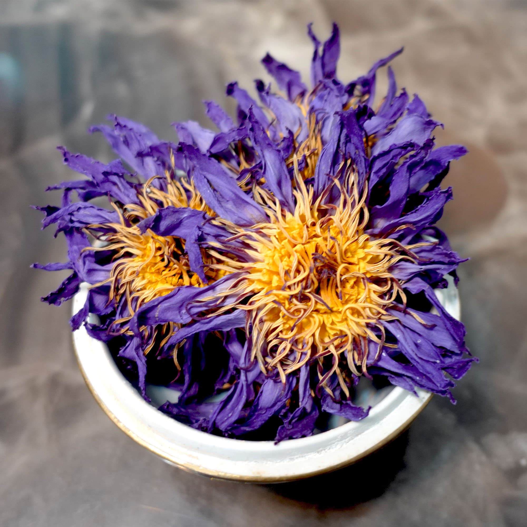 Bio Blauer Lotus Nymphaea caerulea, handgefertigte blaue Seerose