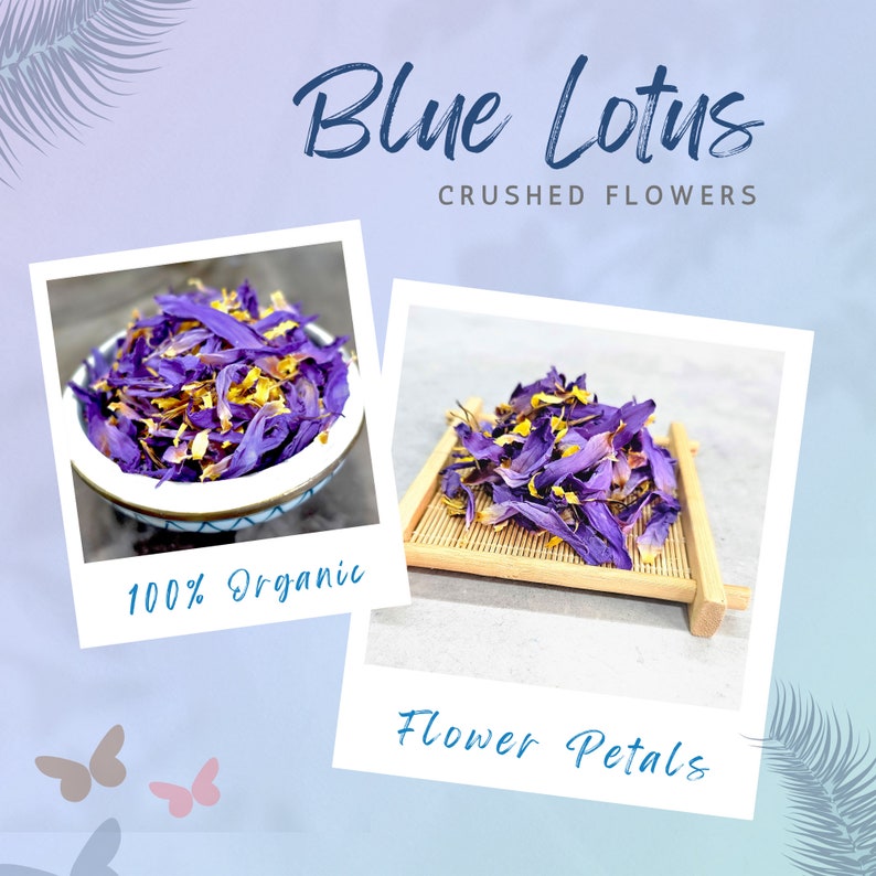 Premium, Organic Blue Lotus Flowers. Available as a Whole or Crushed. Free US Shipping over $35.00