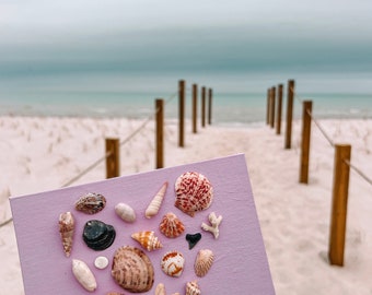 Indian Rocks Beach Shell Art Canvas | Beachy Decor