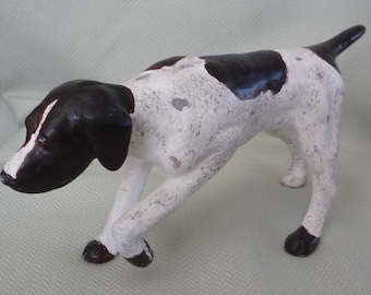 Shorthair pointer