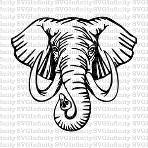 Elefantenkopf SVG, Elefantenstoßzähne SVG, Elfenbein SVG, Elefantenzähne svg, Elefant Silhouette svg, afrikanisches Tier svg, Silhouette Schnittdatei, png