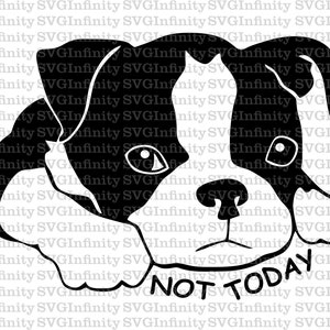 Filhote de cachorro hoje não SVG, filhote de cachorro triste SVG, Boston Terrier SVG, filhote de cachorro encantador svg, cachorrinho fofo, clipart de cachorrinho, raça de cachorro, silhueta de cachorrinho Cricut
