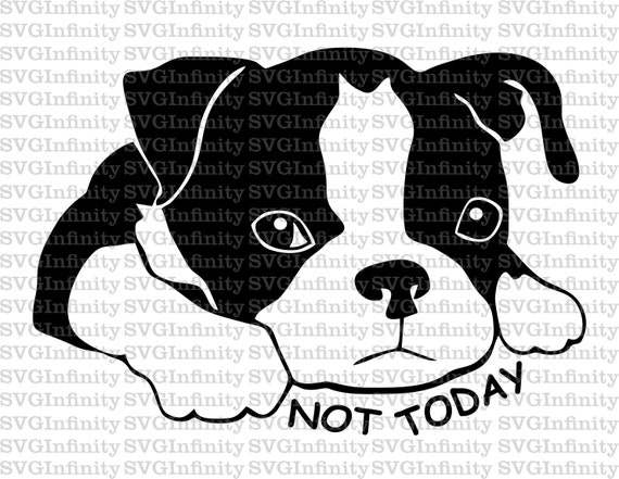 Puppy Not Today SVG Sad Puppy SVG Boston Terrier SVG Charming Puppy svg Cute Puppy Puppy Clipart Dog Breed Puppy Silhouette Cricut