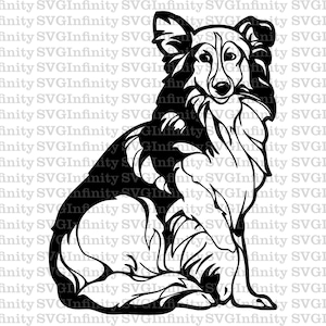 Border Collie SVG, Funny Collie SVG, Charming Collie SVG, Cute Collie svg, Border Collie Clipart, Collie Lover, Collie Silhouette, Dog breed