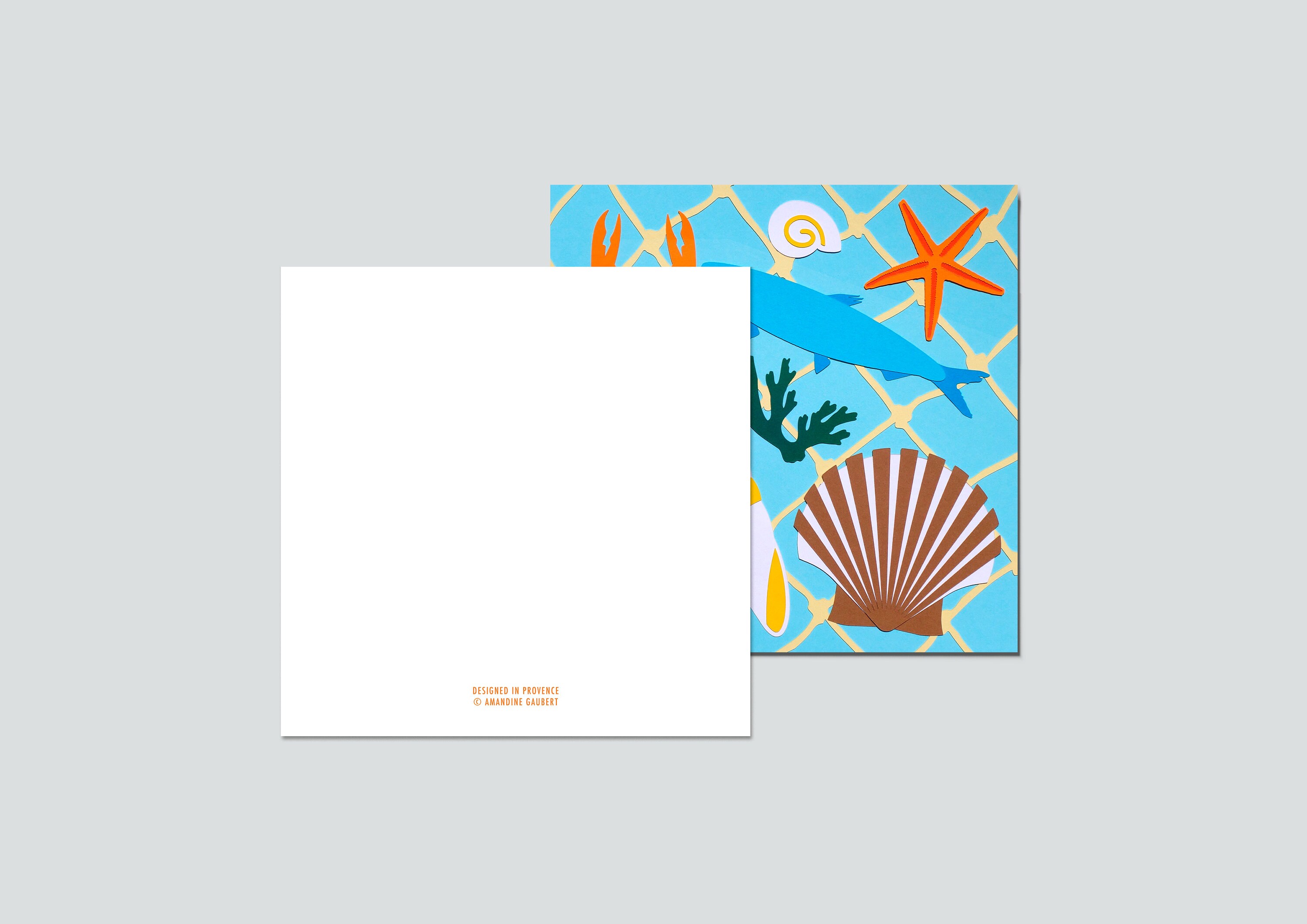 Shellfish Illustration, Thank You Card, Birthday Card, Paper Shell Cut ...