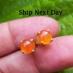 Könnte beinhalten: Ein Paar goldene Ohrstecker mit runden orangefarbenen Karneol-Edelsteinen.