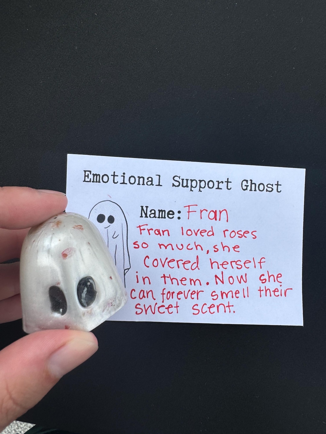 Fran the Emotional Support Ghost - Etsy