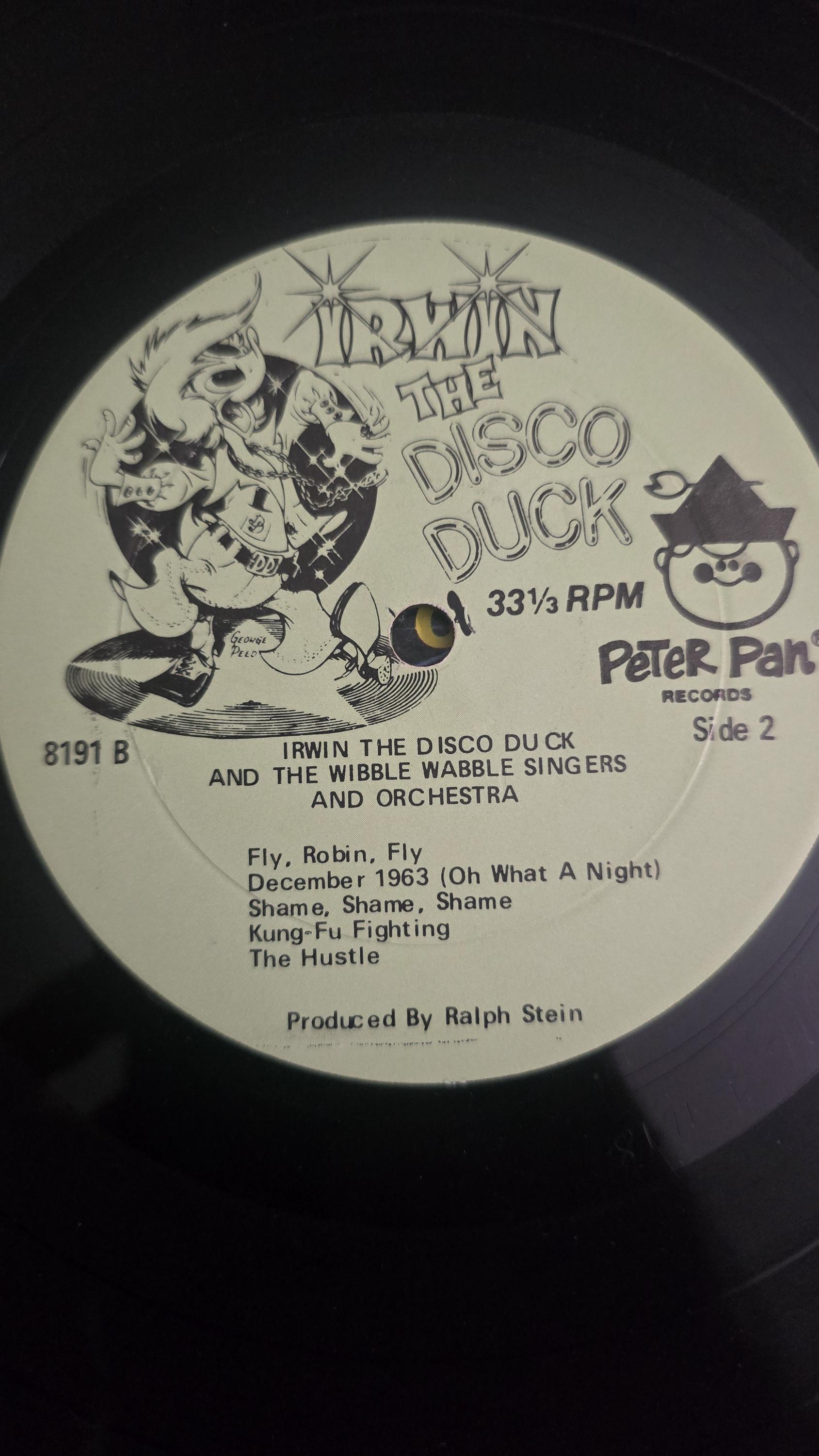 Vintage 1976 Irwin Disco Duck Dance Party Record by Peter Pan - Etsy