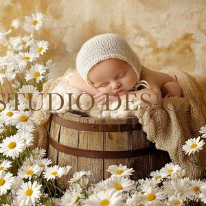 デジタル背景 新生児の女の子 ニュートラル フローラル フィールド デジタル写真小道具 バスケット ベッド、牧草地の赤ちゃんオーバーレイ、屋外デジタル合成花