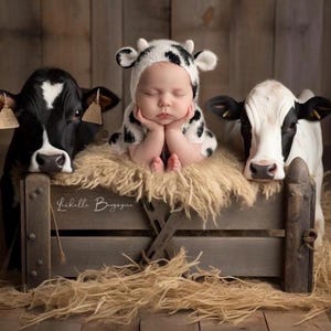 May include: A baby wearing a white and black cow-patterned hat with ears sits in a wooden crate between two black and white cows. The baby rests their chin on their hands, and the crate features the script text Lichelle Begogne on the front panel.