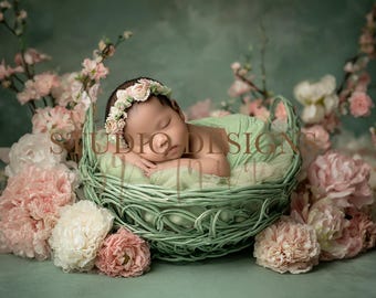 Digital Backdrop Newborn green basket, Newborn Digital Photo Prop, baby Prop, Composite, baby bed composition, newborn backdrop
