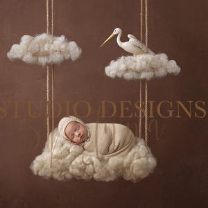 Può includere: Un neonato avvolto in una coperta e un cappello beige, appoggiato su un'altalena a forma di nuvola. Una cicogna decorativa è seduta su una nuvola sopra. Lo sfondo è uno sfondo marrone con il testo "STUDIO DESIGNS".