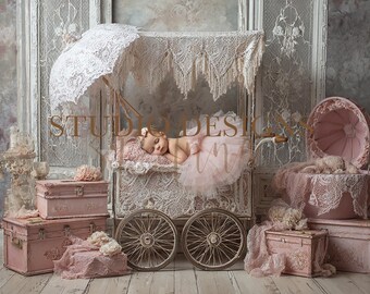 Newborn Princess Digital Background, Newborn Digital Backdrop, princess Backdrop Photography Overlay, Photo Prop, newborn background