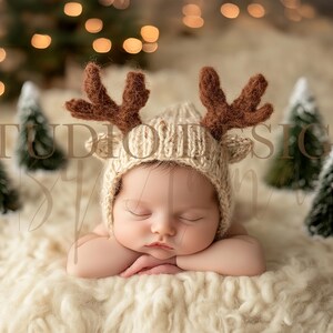 Newborn Winter Christmas Digital Background, Newborn Digital Backdrop, Christmas Backdrop Photography Overlay, Photo Prop xmas, composition