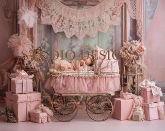 Newborn Princess Digital Background, Newborn Digital Backdrop, princess Backdrop Photography Overlay, Photo Prop, newborn background