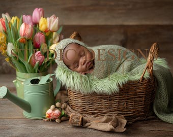 Sfondo digitale per neonata floreale, accessorio per foto digitale per neonata, accessorio per sfondo digitale per neonata