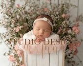 Digital Backdrop Newborn Girl Neutral Floral,Digital Photo Prop, overhead floral bed, baby overlay, digital composite flowers, white, pink