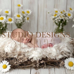 May include: A newborn baby lies peacefully in a nest of white fur and dried foliage, surrounded by daisies in glass jars. The baby wears a light pink diaper. The words "STUDIO DESIGNS" are visible.