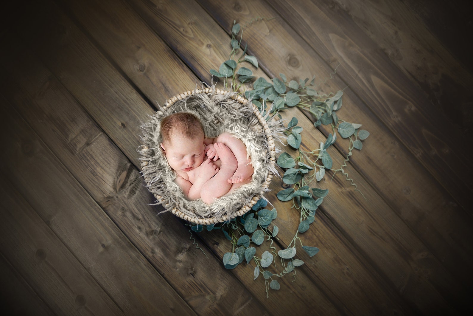 Newborn Digital Background Newborn Photography Floral - Etsy