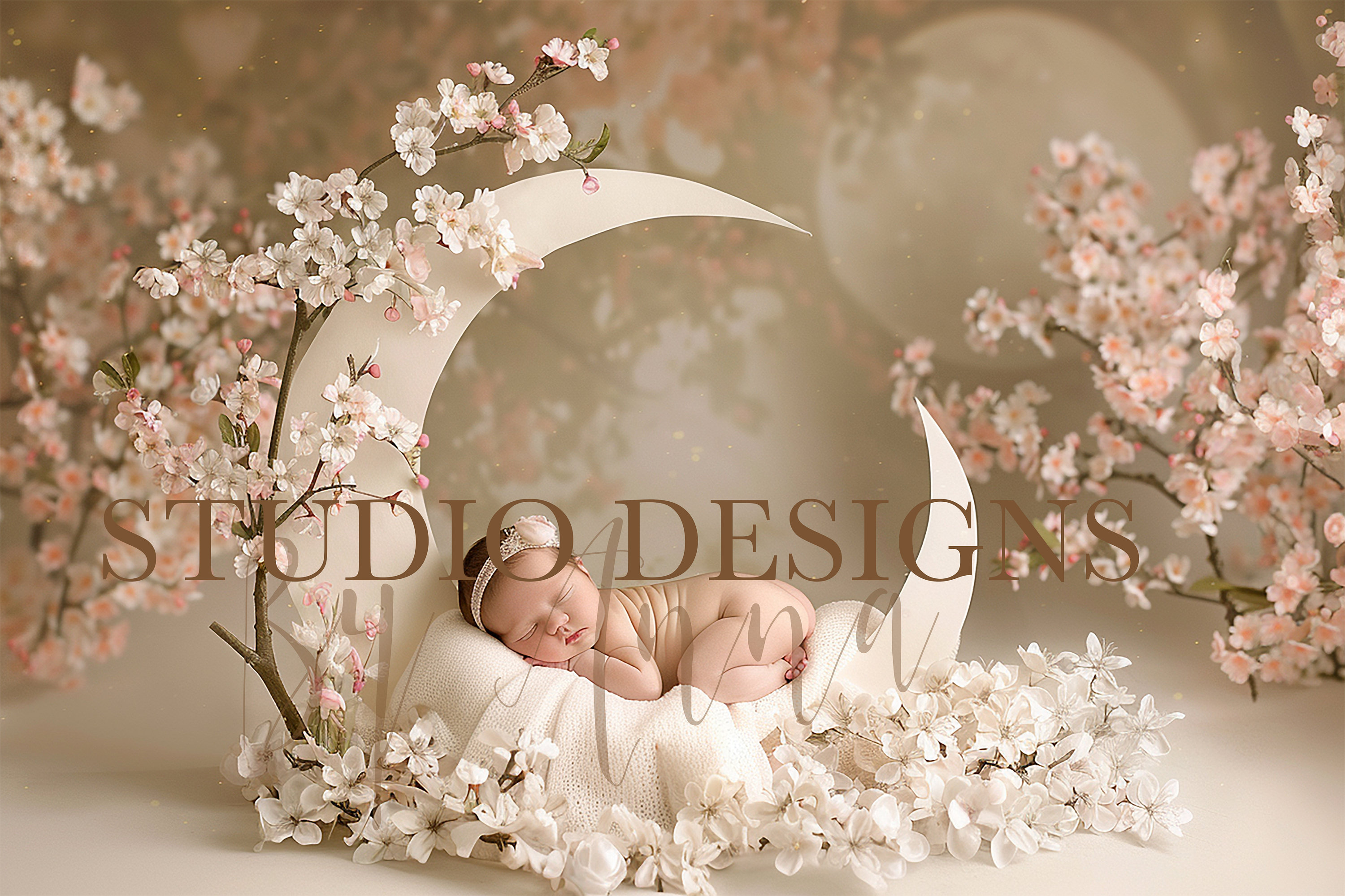 Digital Backdrop Newborn Moon and Flowers, Baby Digital Photo Prop, Digital Background girl Prop, White cloud, blossom overlay