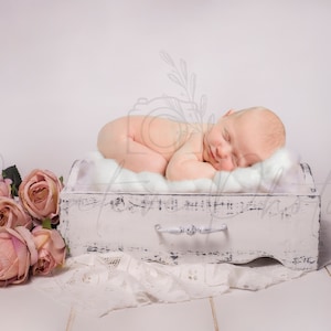 Drawer Newborn Digital Background, Simple, Baby Digital Composition, minimalistic