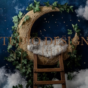 Digital Backdrop Newborn Moon Clouds and Stars, Baby Digital Photo Prop, Newborn Digital Background baby Boy Prop, Blue and White composite