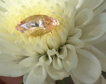 Puede incluir: Una gema facetada de color melocotón descansa sobre una flor de crisantemo blanco. La gema tiene un corte marquesa, reflejando la luz. Los pétalos de la flor están en capas, creando un fondo suave para la gema. Primer plano.