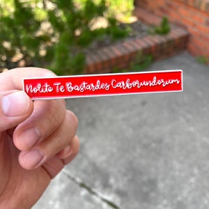 Nolite Te Bastardes Carborundorum emaljnål | Feministisk gåva | Stödnål för kvinnors rättigheter | Handmaid-inspirerad citatnål Empowerment-presentidé