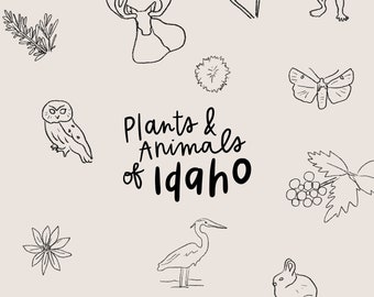 Plants & Animals of Idaho Coloring Page / Wildlife Coloring Page / Idaho Coloring Page / Idaho Kids / Idaho State History / Homeschool Room