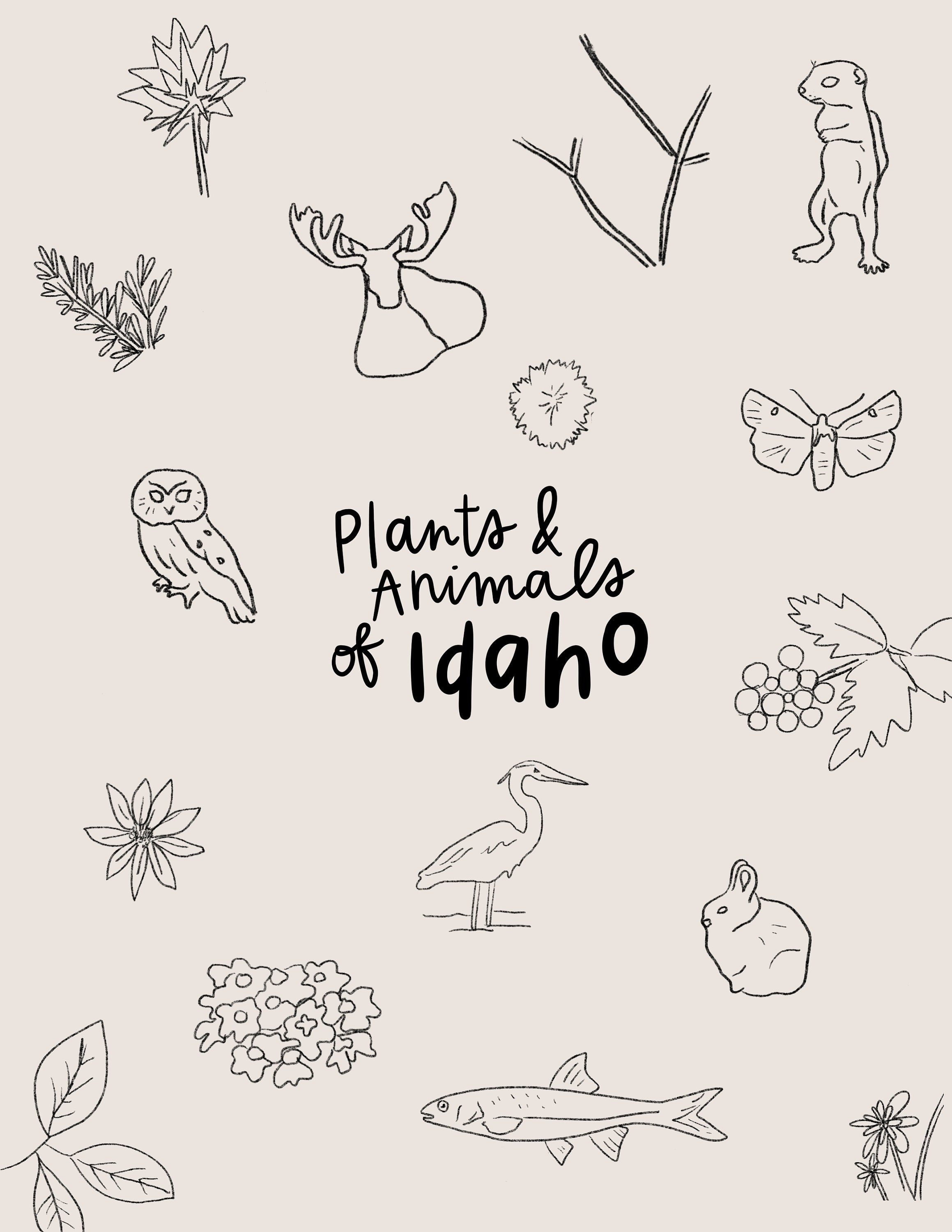 Plants & Animals of Idaho Coloring Page / Wildlife Coloring Page